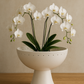 White orchids in a decorative ceramic bowl on a wooden surface with a beige background